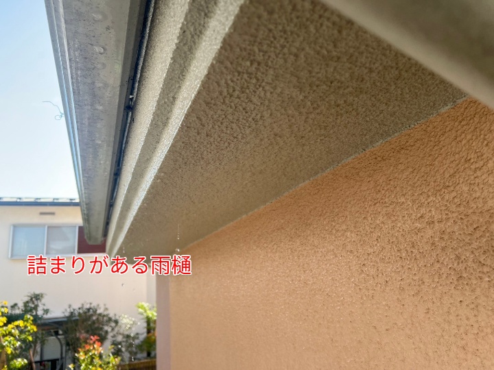 雨樋
