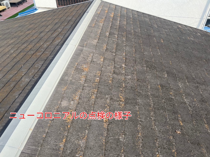 全体像