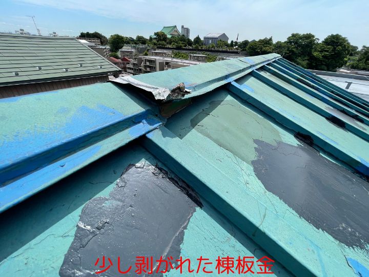 少し剥がれた棟板金