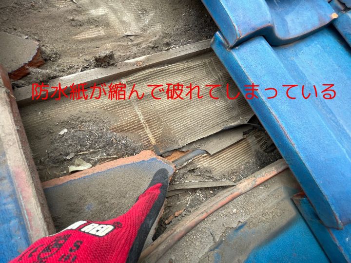 防水紙が縮んで破れてしまっている