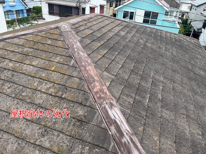 全体像