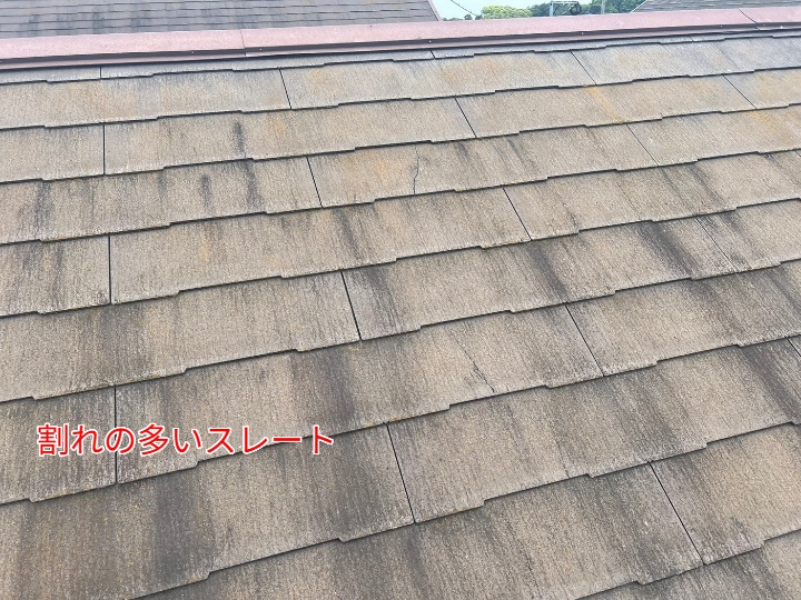 全体