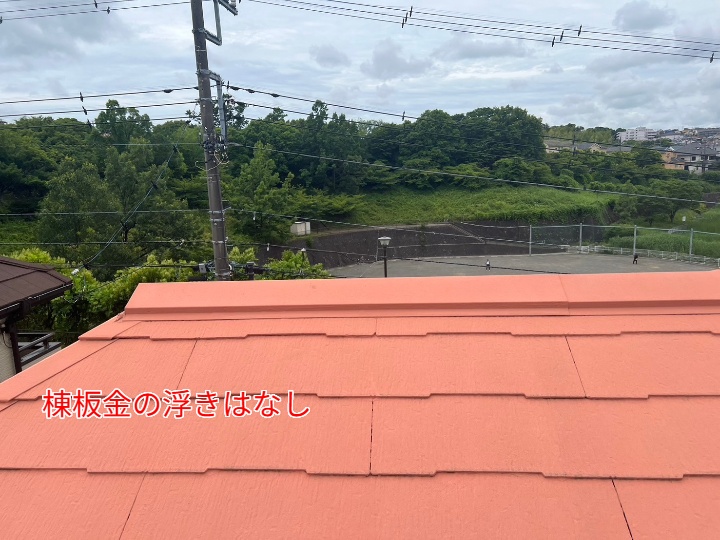 棟板金