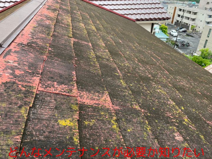 どんなメンテナンスが必要か知りたい