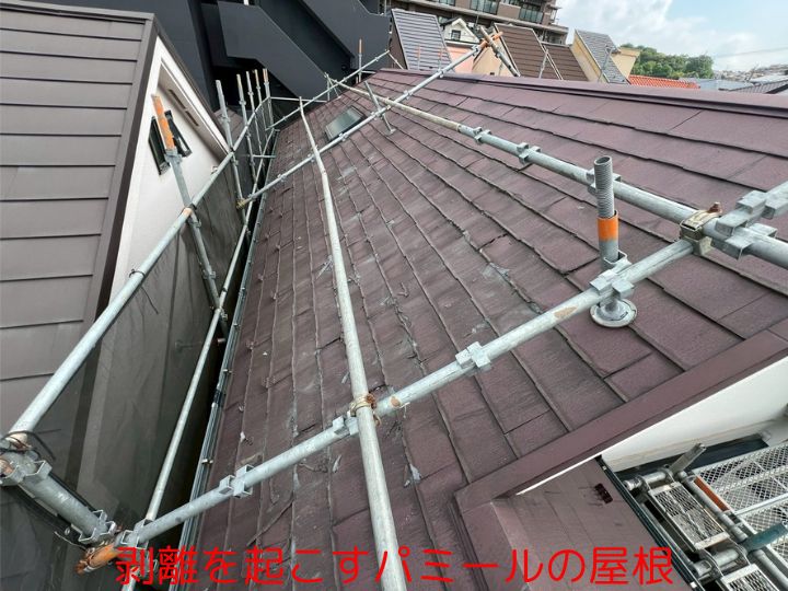 剥離を起こすパミールの屋根