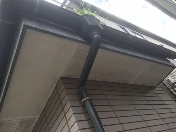 雨樋