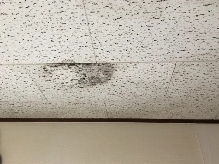 天井部の雨漏り被害