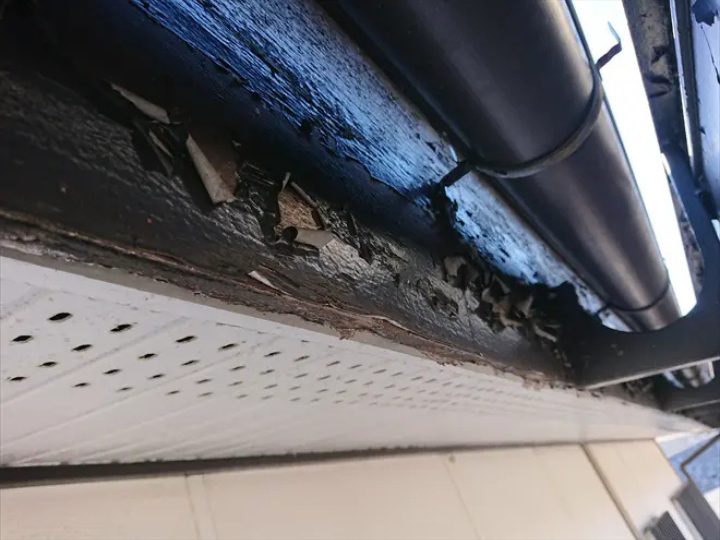 劣化した鼻隠し