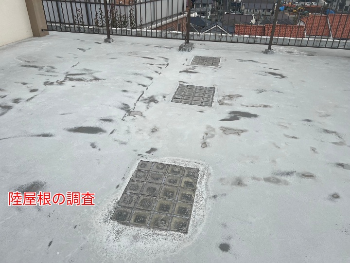 全体像