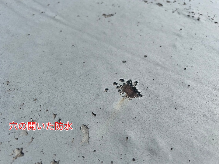 全体像