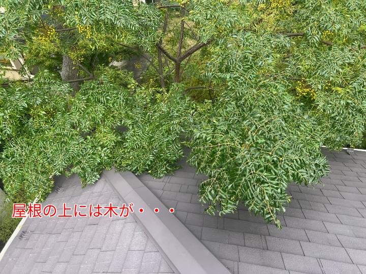 状況