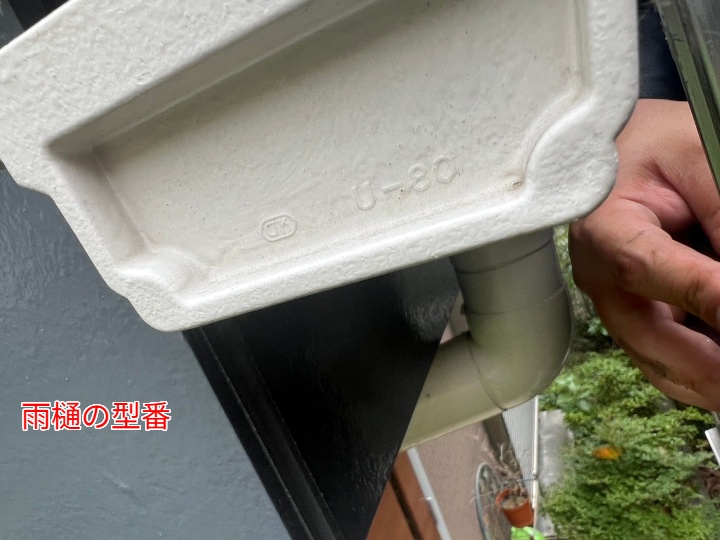 雨樋
