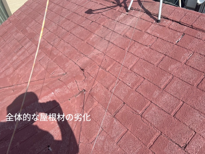 全体像