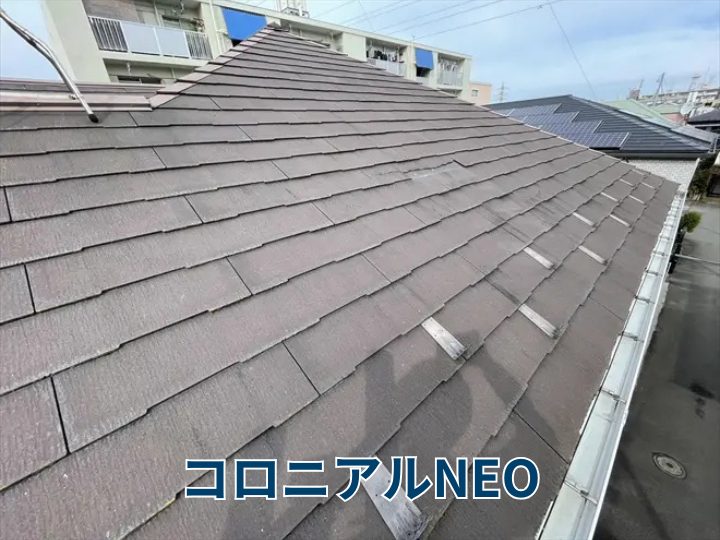コロニアルNEO
