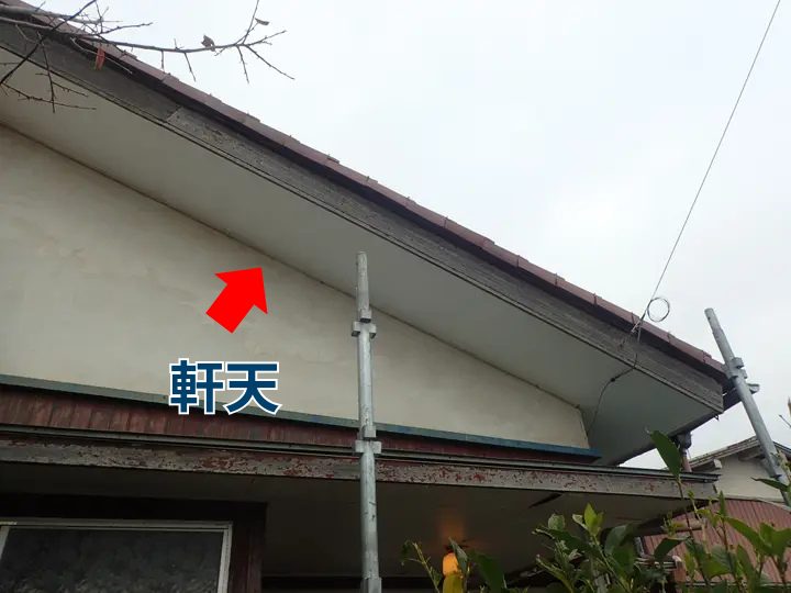 軒天