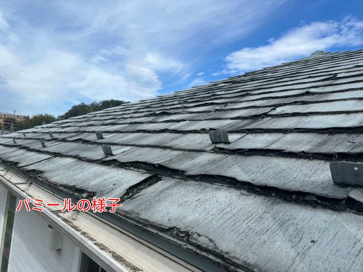 屋根全体