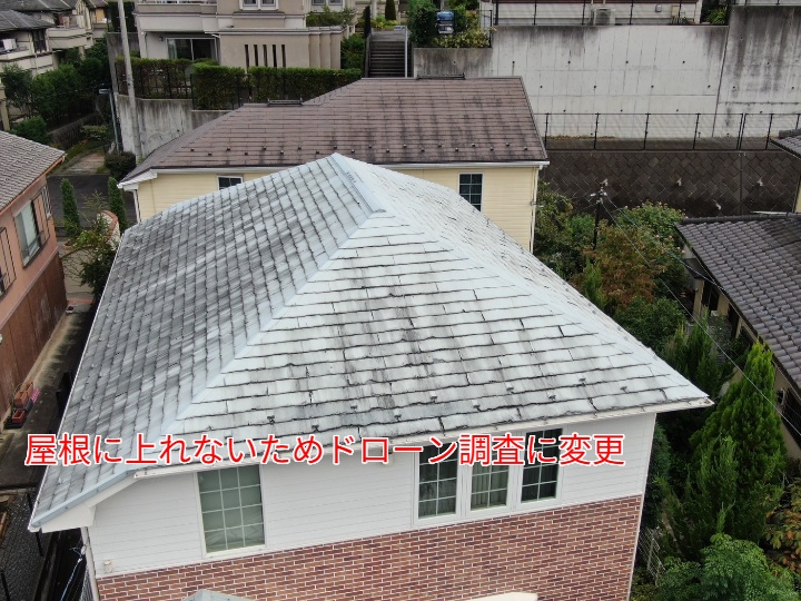 ドローン調査