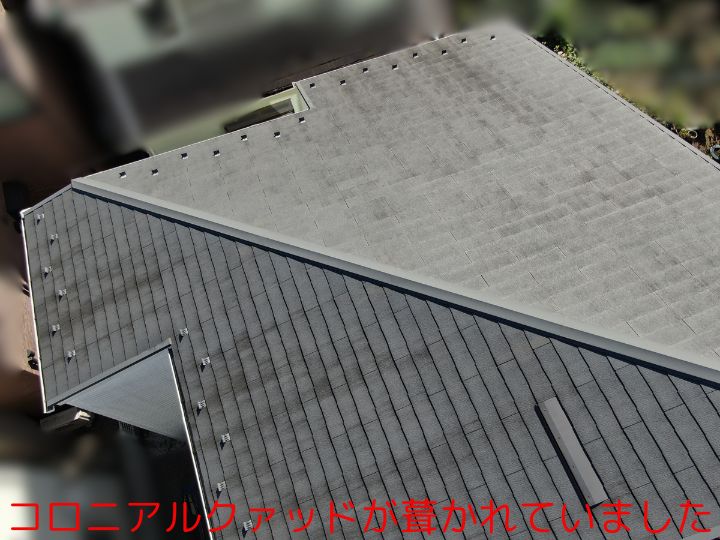 コロニアルクァッドが葺かれていました