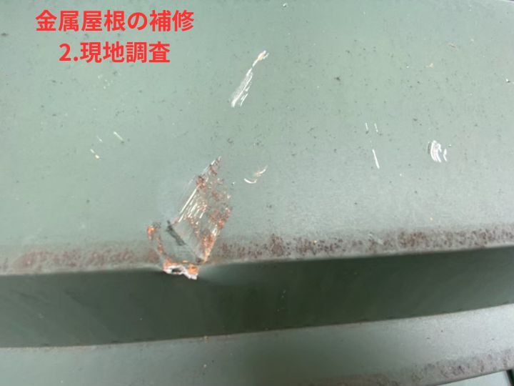 現地調査
