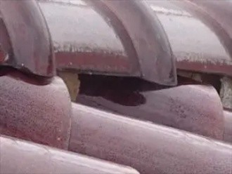 内部の土が流れ出して棟のラインが凸凹になっている箇所