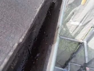 落ち葉除けネットを設置後