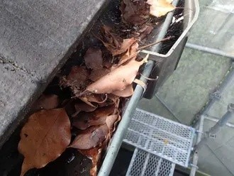 落ち葉除けネットを設置前