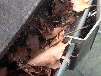 竪樋(たてどい)に枯れ葉がぎっしりと詰まり水が正常に流れない状態