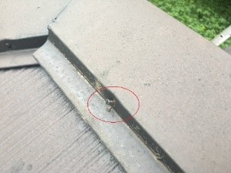 棟板金は多くの箇所で固定用の釘が抜けかかっている