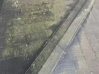 屋根は緑色に変色するほど苔や藻が広がっている状態