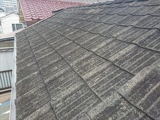 屋根に使われているセメント瓦