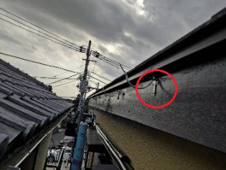 雨樋にステンレス製の金具を取付後の状態