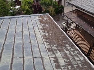 藻や苔が繁殖した後に枯れた部分に水分が残ってカビが生えた屋根
