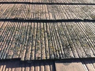 塗膜が剥がれスレートの素地が露出している状態の屋根