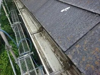 雨樋に詰まった葉を取り除く作業工程
