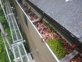 雨樋の内部に端から端まで葉が詰まった状態