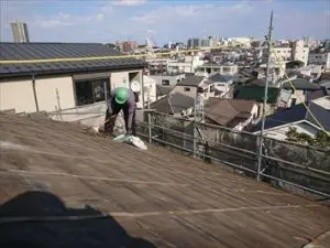屋根部のゴミ清掃