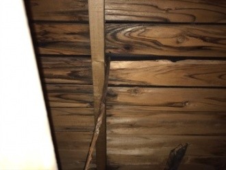 雨漏り箇所の点検作業