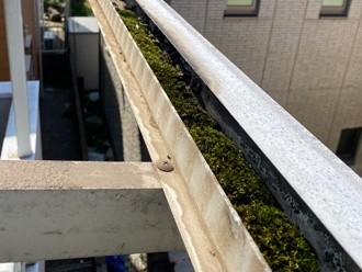 排水溝を清掃