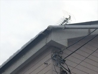 軒樋が落下した状態