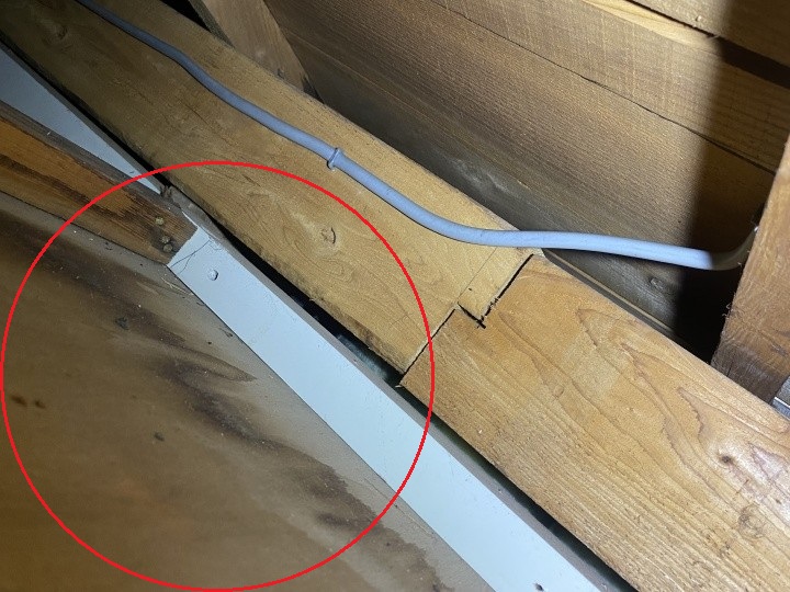 小屋裏の雨染み