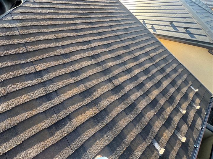 コロニアルNEOの調査