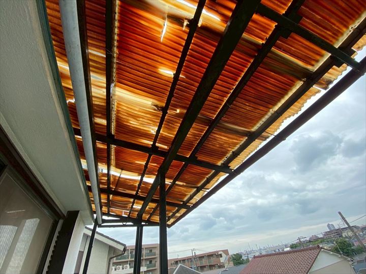 現地調査の様子