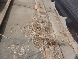 瓦を順に撤去した後の状態