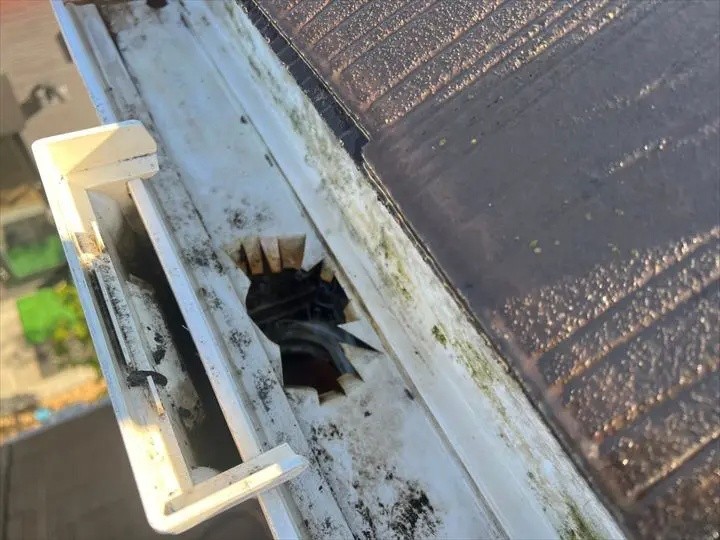 雨樋の清掃作業が完工した状態