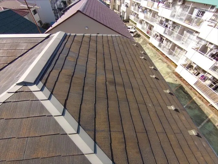 スレート屋根全体に広がる苔や黒カビなどの汚れ