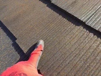 スレート表面には苔がびっしりと繁殖