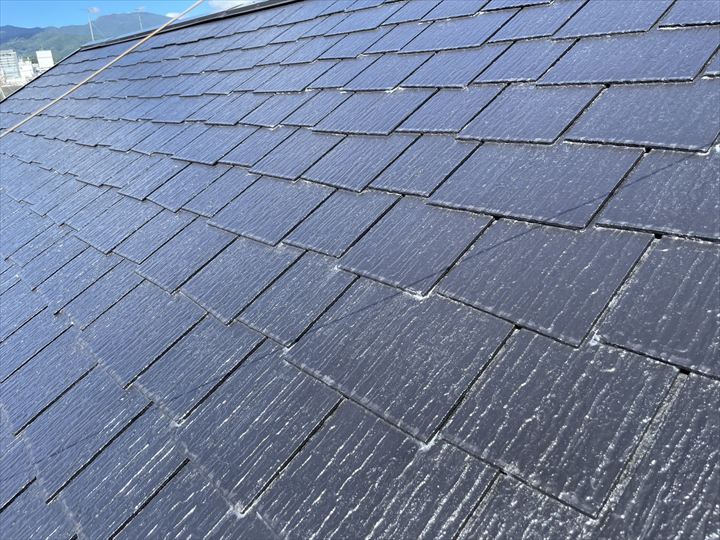 このタイプの屋根への塗装はあまり推奨されません
