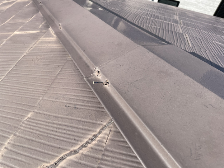 棟板金の釘も一部浮いていました