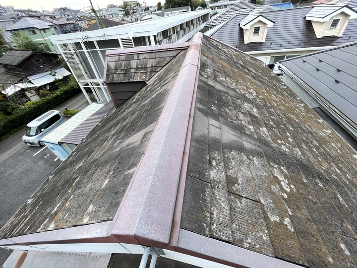 苔の生えたスレート屋根