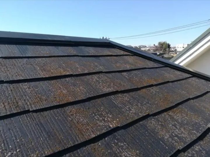 全体に苔が繁殖しているスレート屋根